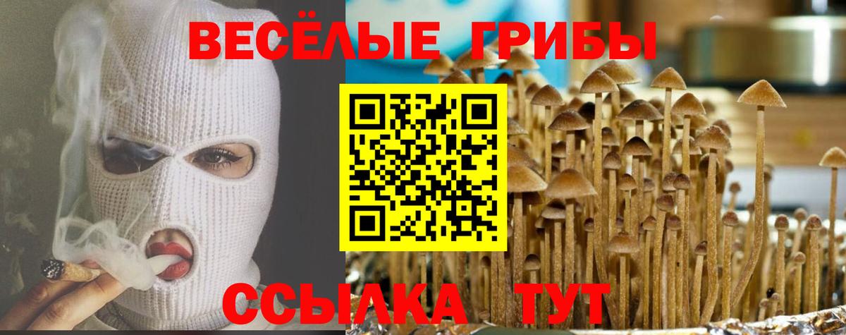 Галлюциногенные грибы Psilocybe  Вход с VPN  Скопин 